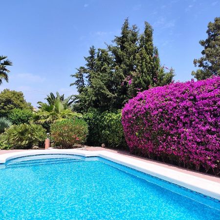 Villa With Private Pool, Bbq, Fitness Center & Sauna San Vicente Raspeig Екстер'єр фото