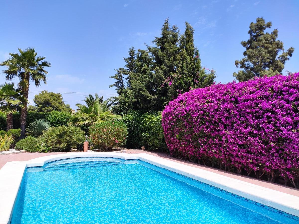 Villa With Private Pool, Bbq, Fitness Center & Sauna San Vicente Raspeig Екстер'єр фото